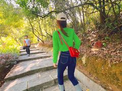 -广州白江湖森林公园