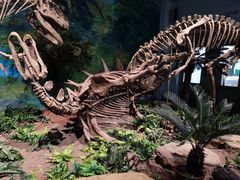 -自贡恐龙博物馆