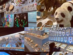 -浙江自然博物院(杭州馆)