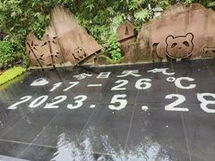 -四川汶川特大地震漩口中学遗址