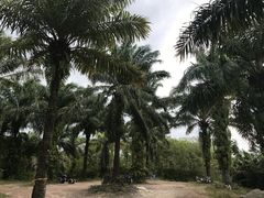 -甲米射击场KRABI SHOOTING RANGE