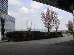 -新贝乐意大利餐厅(苏州中心店)