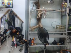 -弓舍射箭俱乐部(高新总店)