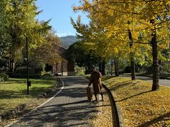 -樱桃山旅游景区