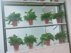 -皖北巫氏三胖地锅鸡(正大店)