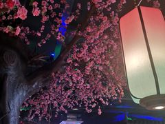 包房-寻宝记绍兴菜(鲁迅路店)