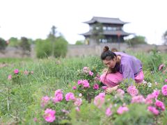 -爱新觉罗皇家博物院