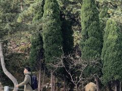 -崂山仰口游览区