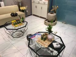 -三只熊皮肤管理中心