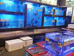 水产区-老洋坊饭店(厚街东宝路店)