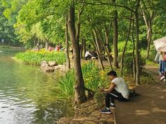 -紫霞湖公园