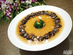蒸酿羊肚菌-苏浙总会(国金中心店)
