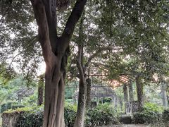 -南沙蒲洲花园