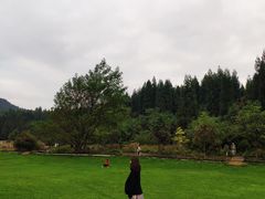 -武陵山森林公园