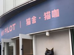 门面-飞行喵MR PILOT|猫舍·猫咖(静安大融城店)