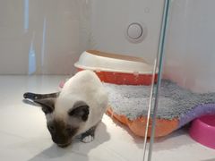 -龟与熊猫宠物公园(南坪店)