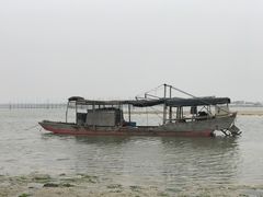 -北海金海湾红树林生态旅游区