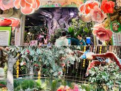 -正佳雨林生态植物园