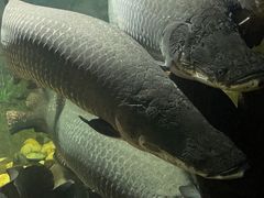 -嘉兴海底世界