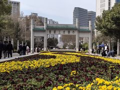 -武汉大学-樱园