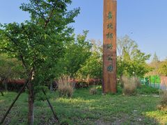 -嘉北郊野公园