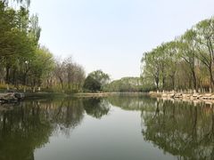 -大兴滨河森林公园