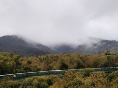 -陶祖圣境风景区