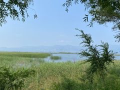 -野鸭湖国家湿地公园