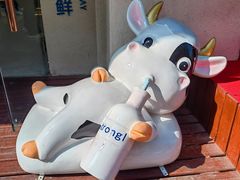 -白色日记·手作酸奶(麦凯乐店)