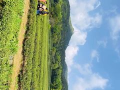 -北高峰