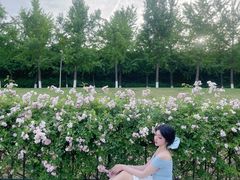 -南京眼步行桥