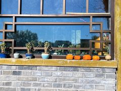 -三忘湖 SWANSEEN(柳荫公园店)