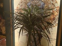 -新泰遇SPA·即派·青春颜艺(维也纳江西大厦店)