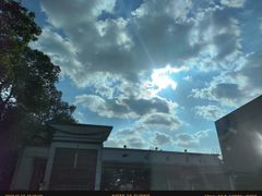 -四川大学博物馆