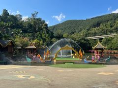 -西双版纳原始森林公园