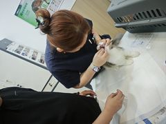 -申普宠物医院·眼科·心内科·影像科(普陀分院)