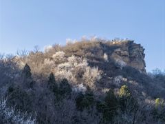 -北京西山国家森林公园