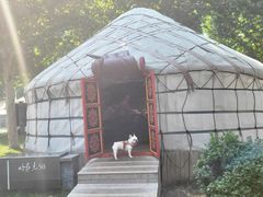 -九十九顶毡房(阜石路店)