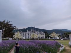 -玫瑰海岸文化旅游度假区
