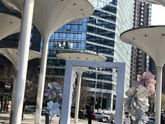 -新荟城(望京店)