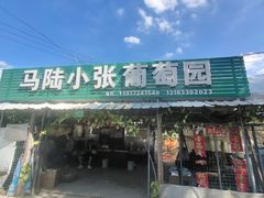 -马陆小张葡萄园农家乐