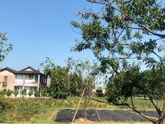 -乌村