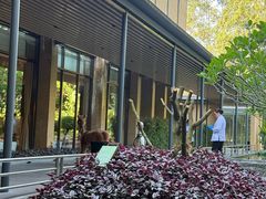 -南宁荔园维景国际酒店·荔园中餐厅