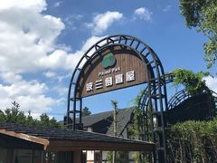 -金山农民画村-枫泾波兰倒置屋