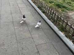 -重元寺