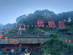 -枇杷园食为鲜火锅(南山店)