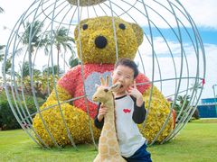 -三亚亚龙湾天域度假酒店