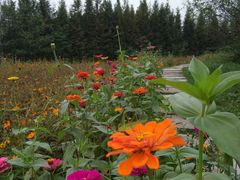 -桤木河湿地公园