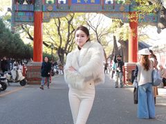 -北京国子监胡同