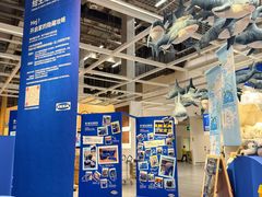 -宜家家居(四元桥商场店)